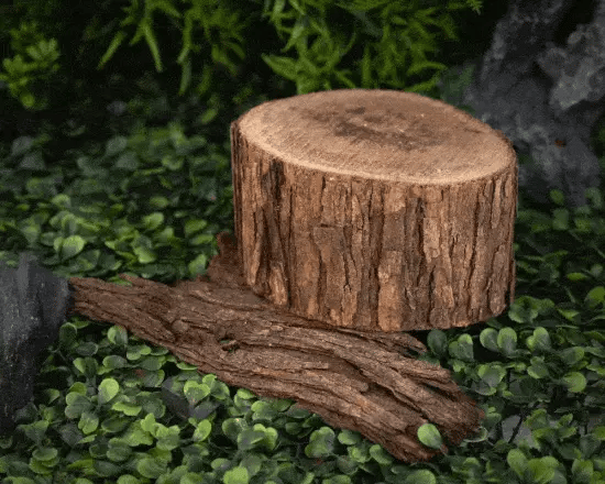 Best Fragrance for Men (Set of 3 Perfumes x 8ml)