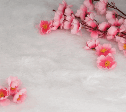 Best Fragrances For Women (Combo Set of 3X50ml)