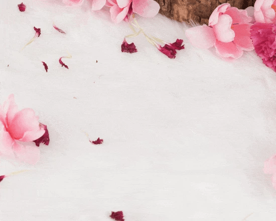 Best Fragrance for Women(LIGHTR + 3 Perfumes x 8ml)