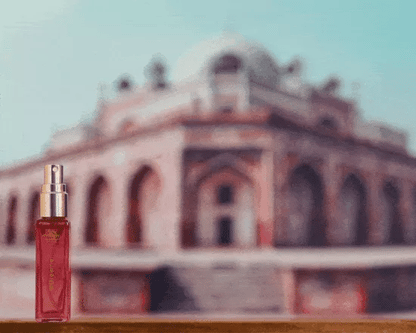 The Complete Fragrance Set for Women (LIGHTR + 7 Perfumes x 8ml)